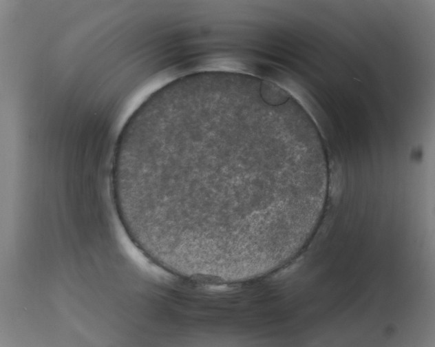 X0000113851139200910221413