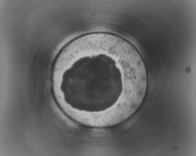 X0000113851142200910221413