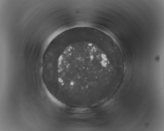 X0000113851143200910221413