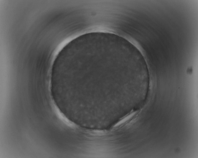 X0000113851144200910221413