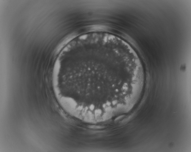 X0000113851145200910221413