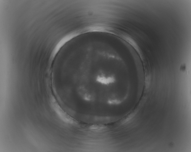 X0000113851146200910221413