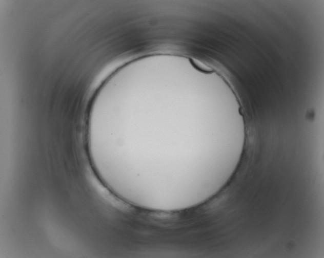 X0000113851147200910221413