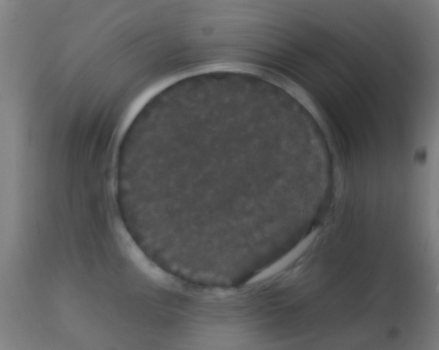 X0000113851148200910221413