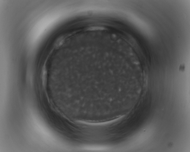 X0000113851151200910221413