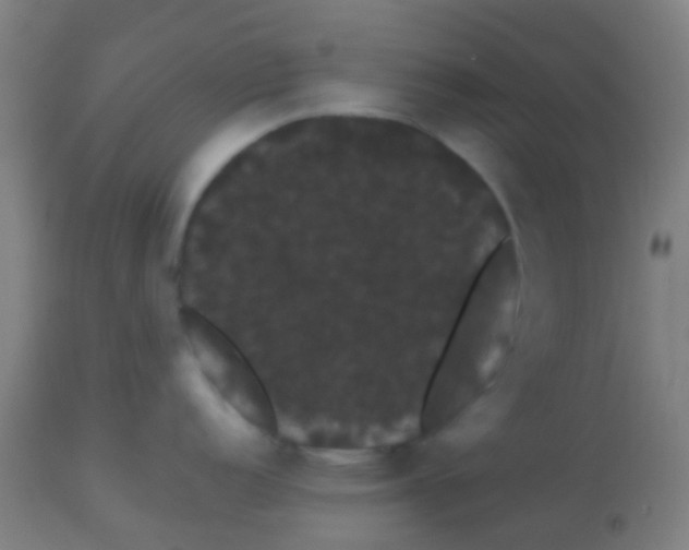 X0000113851152200910221413