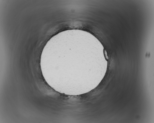 X0000113851153200910221413