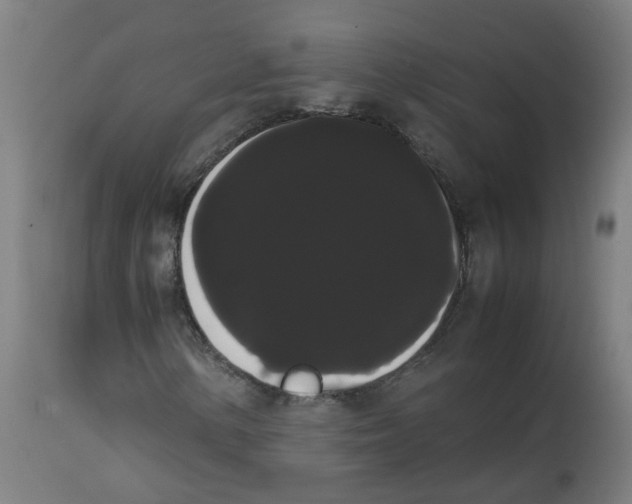 X0000113851154200910221413