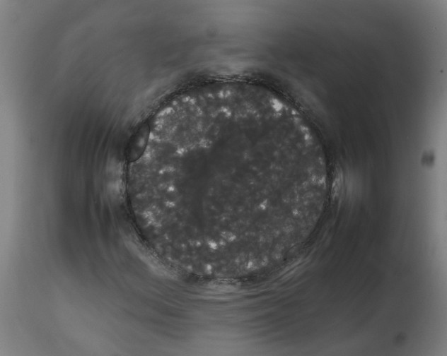 X0000113851156200910221413