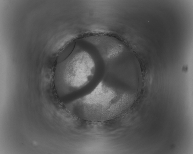 X0000113851157200910221413