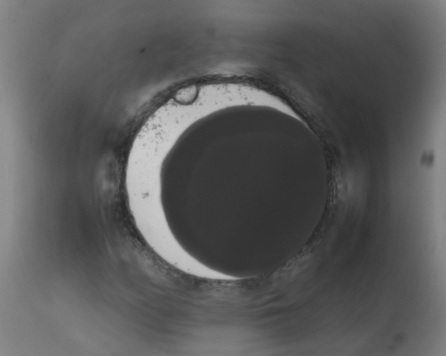 X0000113851158200910221413