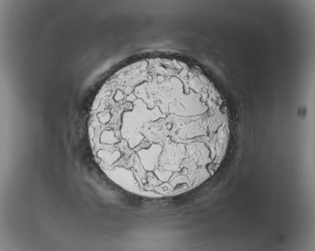 X0000113851159200910221412