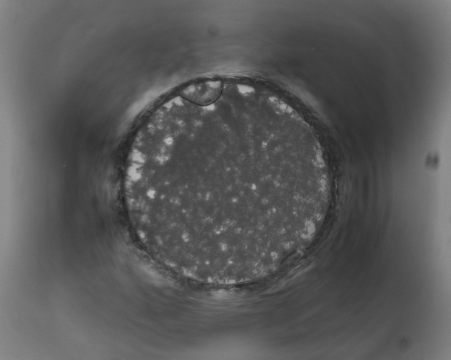 X0000113851160200910221412