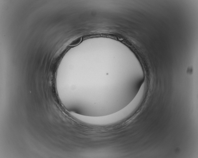 X0000113851161200910221412