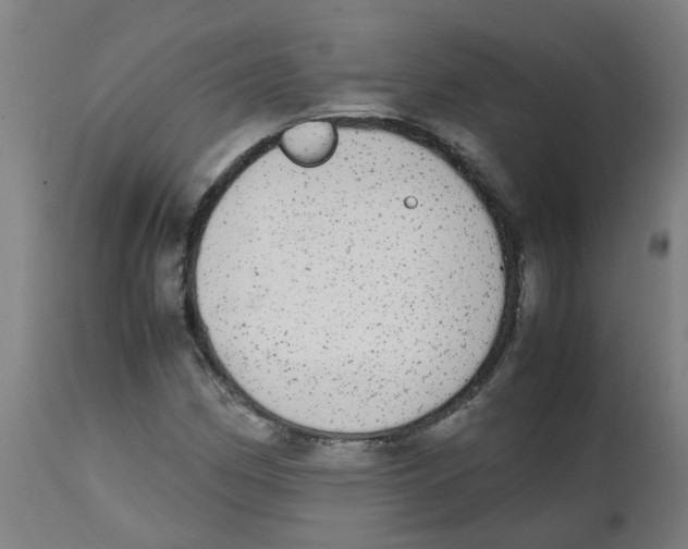 X0000113851162200910221412