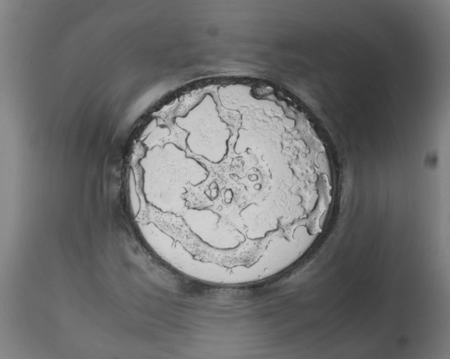 X0000113851163200910221412