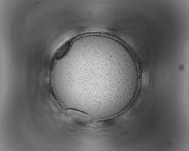 X0000113851165200910221412