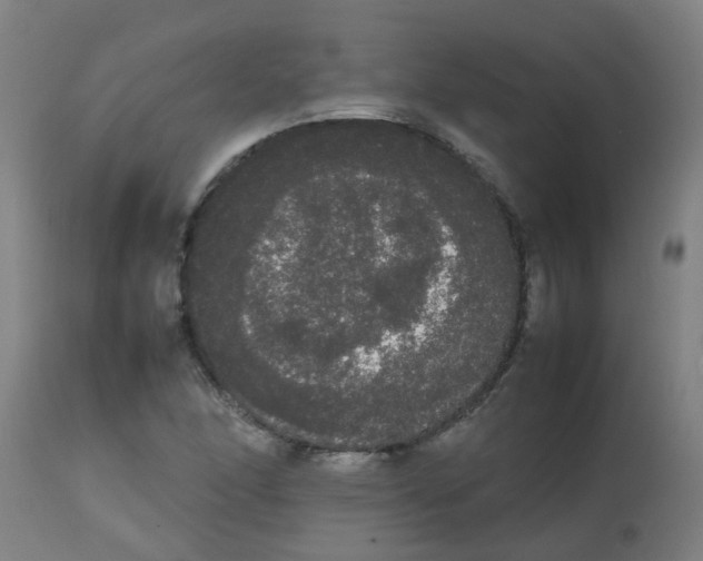 X0000113851166200910221412