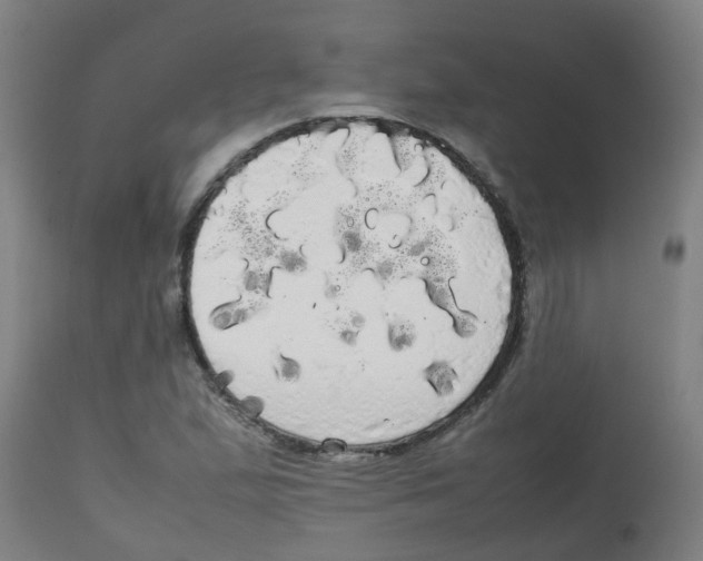 X0000113851167200910221412