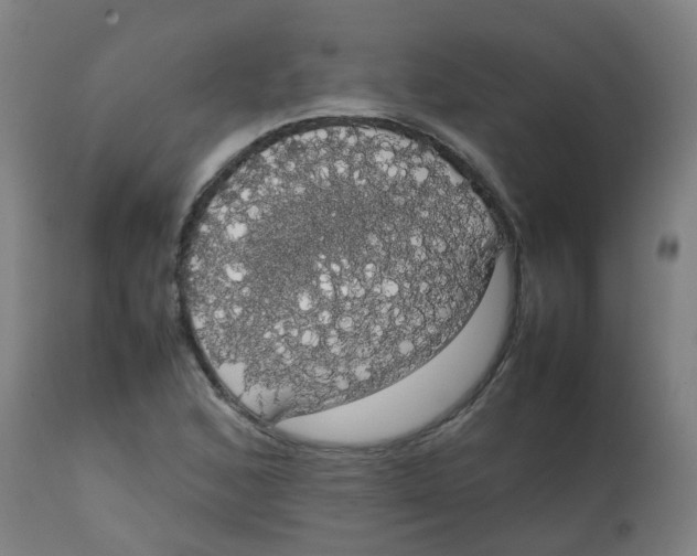 X0000113851168200910221412