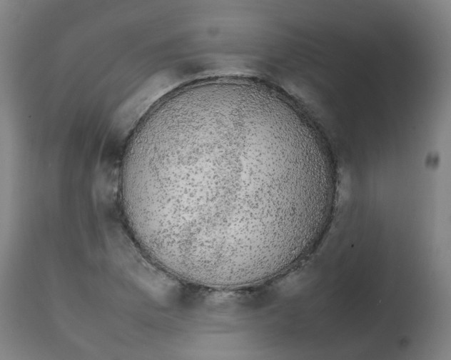 X0000113851169200910221412