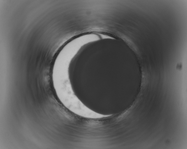 X0000113851170200910221412