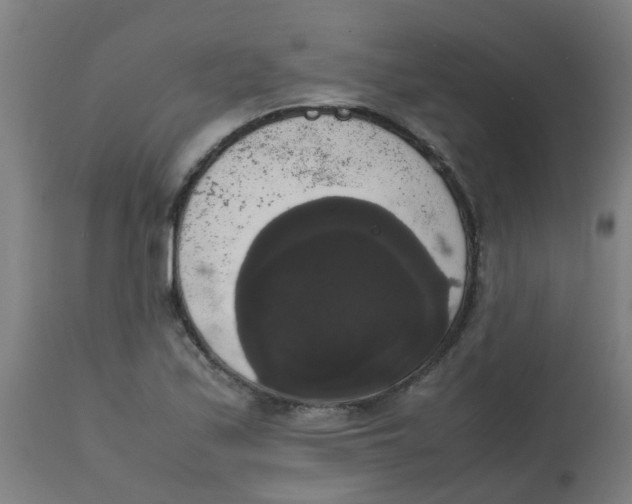 X0000113851171200910221412