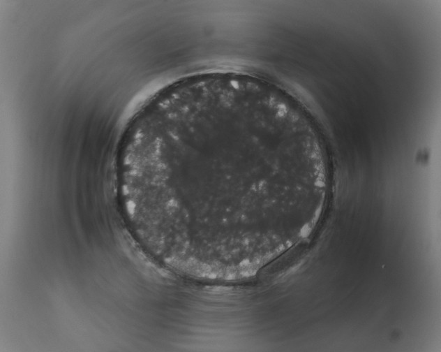 X0000113851172200910221412