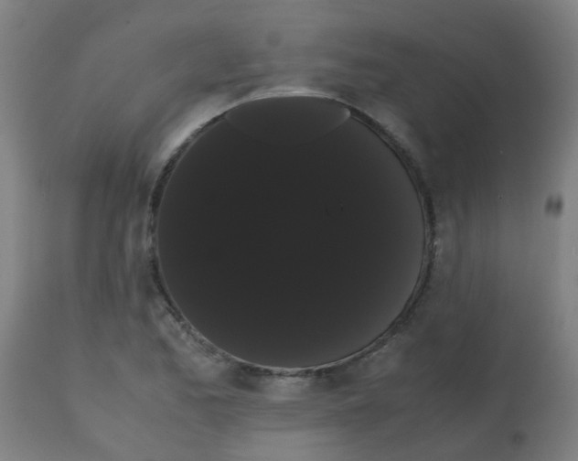 X0000113851173200910221412