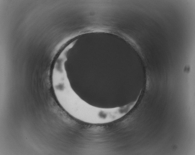 X0000113851174200910221412