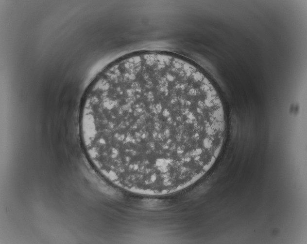 X0000113851176200910221412