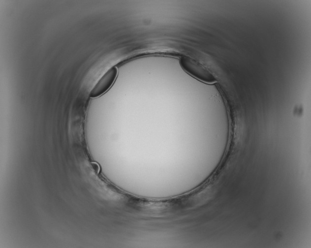 X0000113851177200910221412