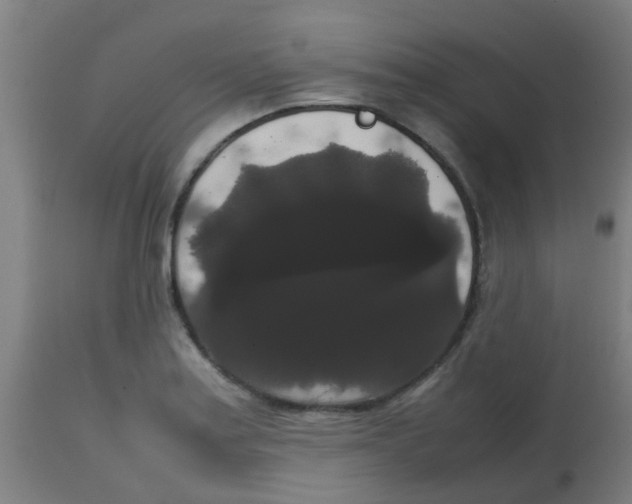 X0000113851179200910221412