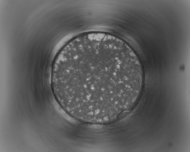 X0000113851180200910221412