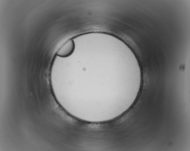 X0000113851182200910221412