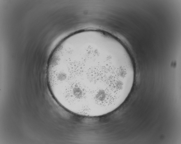 X0000113851183200910221412