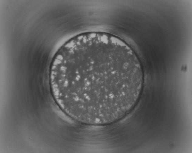 X0000113851184200910221412