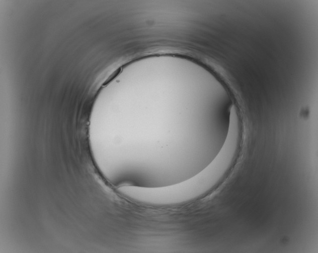 X0000113851185200910221412