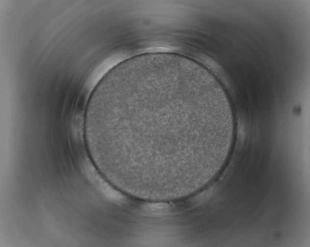 X0000113851186200910221412