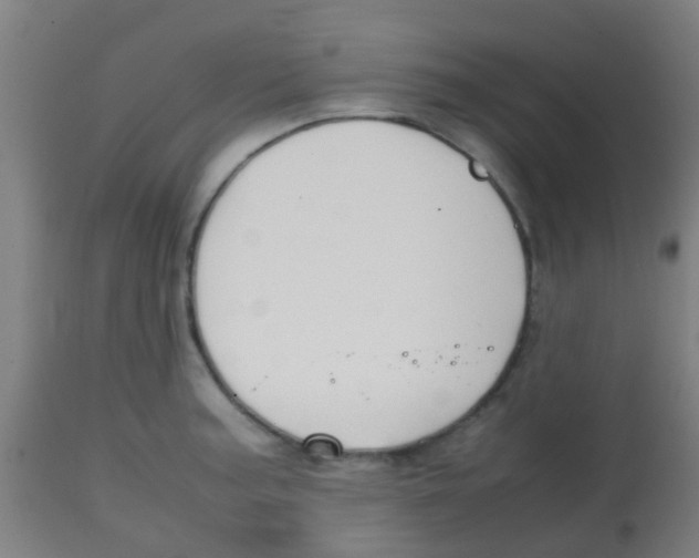 X0000113851187200910221412