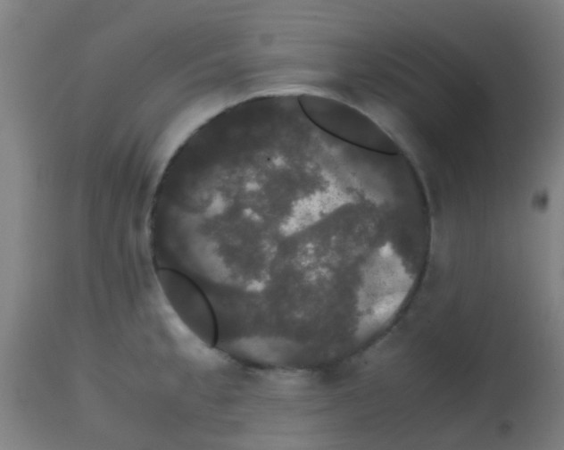 X0000113851189200910221412