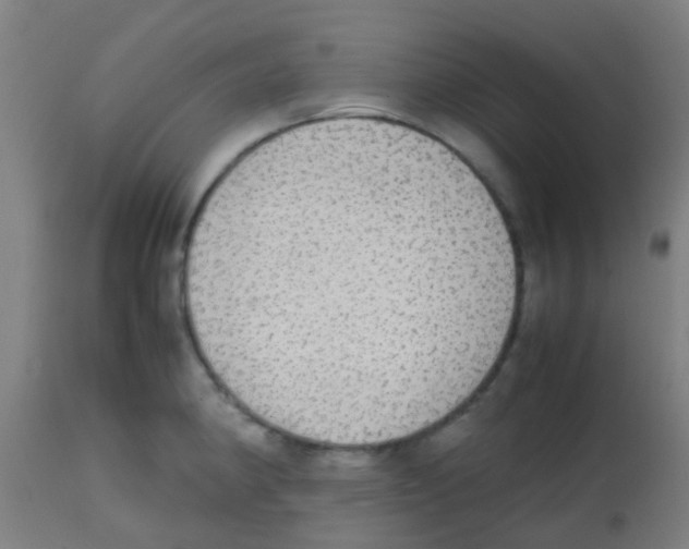 X0000113851190200910221412