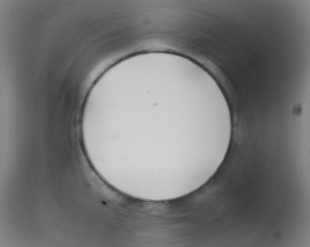 X0000113851191200910221412