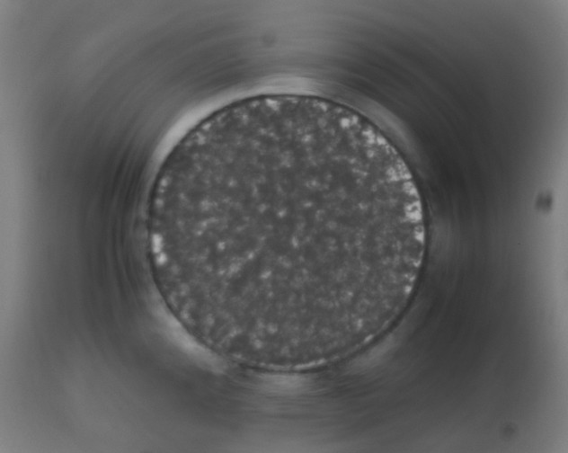 X0000113851192200910221412