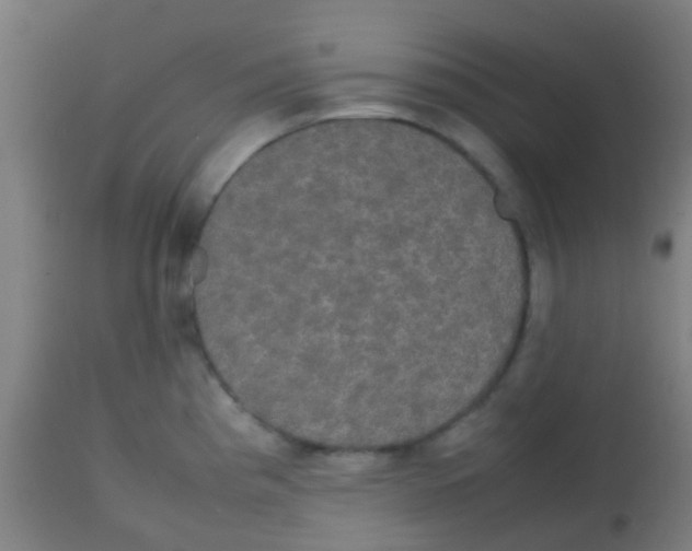 X0000113851193200910221412