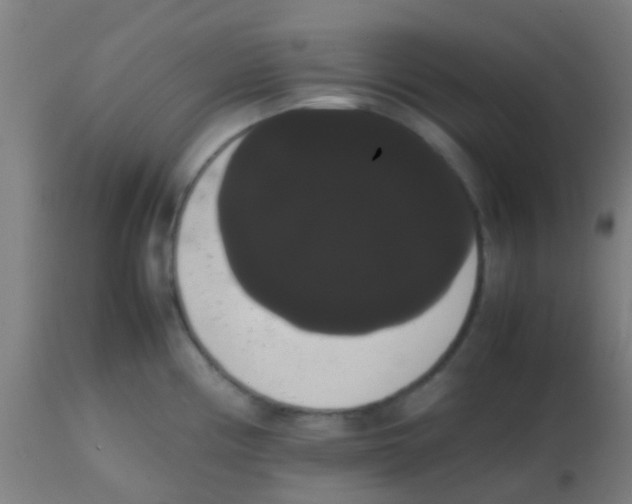 X0000113851194200910221412