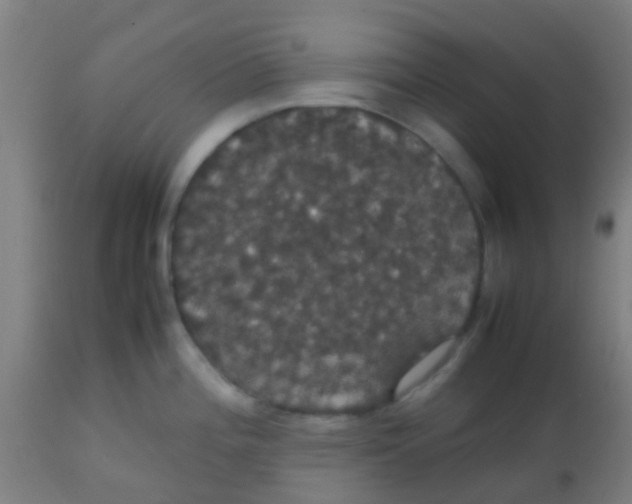 X0000113851196200910221412