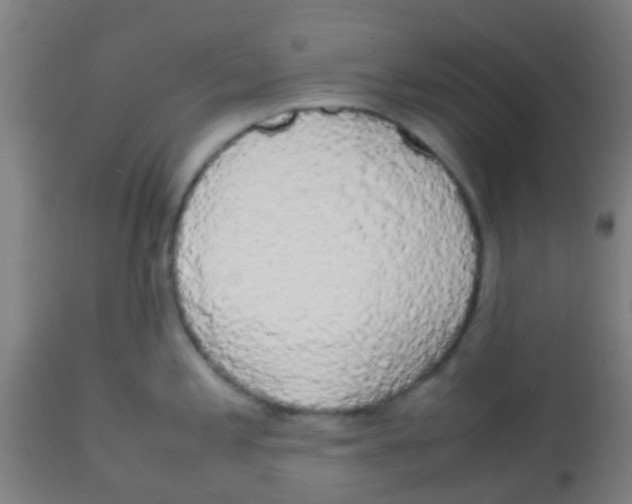 X0000113851197200910221412