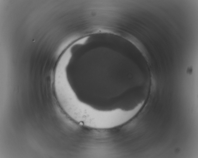 X0000113851198200910221412