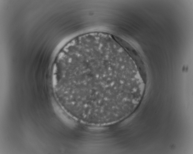 X0000113851200200910221412